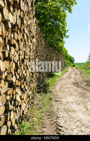 Eine Wand von Protokollen ordentlich am Waldrand entlang einem Feldweg gestapelt in der französischen Landschaft. Stockfoto