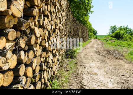 Eine Wand von Protokollen ordentlich am Waldrand entlang einem Feldweg gestapelt in der französischen Landschaft. Stockfoto