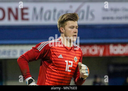 Bailey Pfau - Farrell spielen für die Nordirland unter 21 Team in Coleraine Showgrounds am 26. März 2018. 2019 UEFA unter 21 WM Qualifikation - Gruppe 2 - Nordirland 0 Island 0. Stockfoto