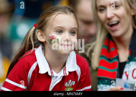 Fans von Wales in der Masse während des IRB-RWC 2015 Match zwischen Wales v Australien - Pool ein Match 35 bei Twickenham Stadium. London, England. 10. Oktober 2015 Stockfoto