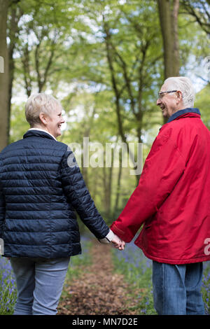 Ansicht der Rückseite des Senior Paar Hand in Hand durch Bluebell Wood Stockfoto