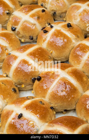 Frisch gebackene Hot Cross Buns an Ostern Stockfoto