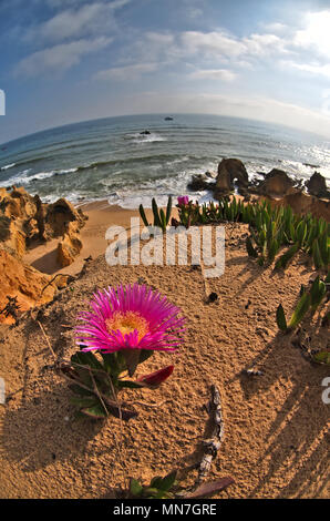 Gale Strand Szene, Fish-eye shot in Albufeira. Portugal Stockfoto