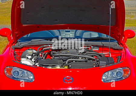 2006 NC-Mazda MX-5 oder miata zeigt den Motor bei geöffneter Motorhaube Stockfoto