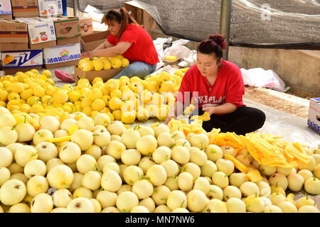 Shijiazhuan, Shijiazhuan, China. 14 Mai, 2018. Shijiazhuang, China, 14. Mai 2018: Bauern besetzt sind mit Verpackung Melonen in Shijiazhuang, nördlich der chinesischen Provinz Hebei. Credit: SIPA Asien/ZUMA Draht/Alamy leben Nachrichten Stockfoto