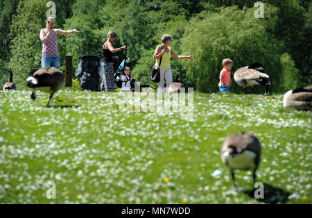 Schönen warmen Sonnenschein Beats auf Bolton als die neuesten Zauber der schönen Wetter im Nordwesten Englands schlägt. Die Temperaturen sind Morgen aber wieder steigen vor der königlichen Hochzeit Wochenende. Familien genießen Sie einen Spaziergang rund um Mose Gate Country Park. Bild von Paul Heyes, Dienstag, 15. Mai 2018. Credit: Paul Heyes/Alamy leben Nachrichten Stockfoto