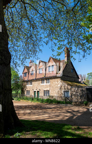 Wiese Cottages im Boden von Merton College in der Frühlingssonne. Oxford, Oxfordshire, England Stockfoto