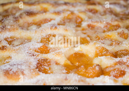 Aprikosen Kuchen mit Puderzucker bestreut Nahaufnahme Stockfoto