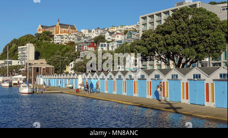 Einen sonnigen Herbst Tag am Boot Schuppen an der Oriental Bay, Wellington, Neuseeland Stockfoto