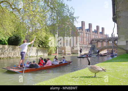 CAMBRIDGE, UK - 6. Mai 2018: Der Seufzerbrücke am St John's College der Universität mit Touristen und Studenten stochern auf dem Fluss Cam im Vordergrund. Stockfoto