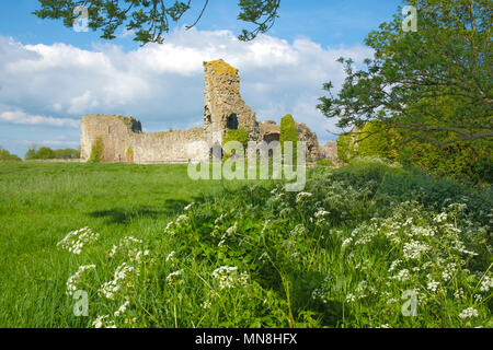 Frühling bei Pevensey Castle, East Sussex, Großbritannien Stockfoto