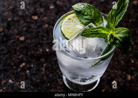 Wodka oder Gin Tonic Cocktail mit Limetten, Minze und Eis. Beverage Konzept. Stockfoto