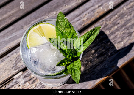 Wodka oder Gin Tonic Cocktail mit Limetten, Minze und Eis im Garten (natürliches Licht). Beverage Konzept. Stockfoto