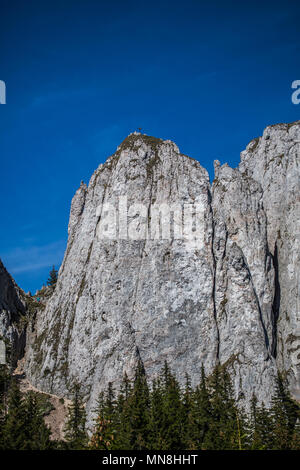 Berg meditieren und Geburtstag. Stockfoto