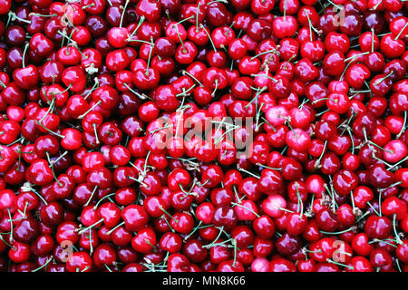 Frische ungarische Rot sweet cherry vom Markt. Stockfoto