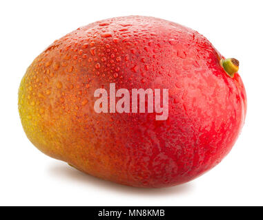 Mango Pfad isoliert Stockfoto