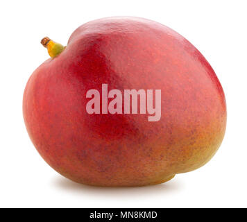 Mango Pfad isoliert Stockfoto