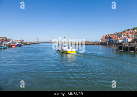 Das Boot verlässt den Hafen von Whitby, North Yorkshire, England, Großbritannien Stockfoto