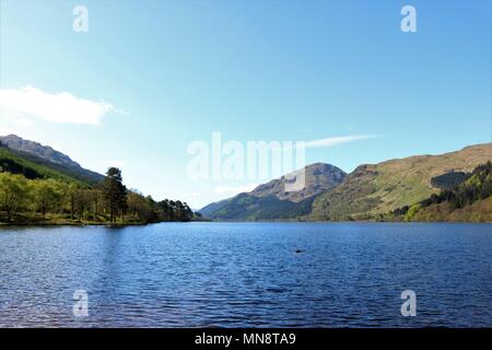 Schönen Loch Eck, Schottland, UK an einem klaren sonnigen Tag, Wasser und Berge in eine atemberaubende Aussicht. Eine beliebte Touristenattraktion. Stockfoto