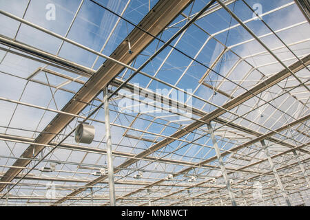 Glasdach mit Ventilator im modernen Gewächshaus Stockfoto