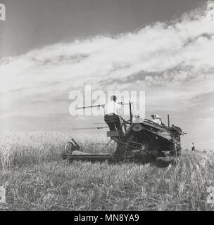 1950, historische, Ansicht von hinten von einem Mann Landwirt reiten auf eine Ernte Erntemaschine über ein Feld, mit seiner Frau beim Fahren eines Traktors ziehen der Landmaschinen, England, UK. Stockfoto