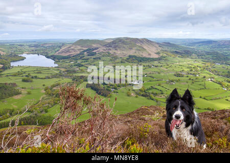 Blick in Richtung Loweswater von Melbreak im Lake District Stockfoto