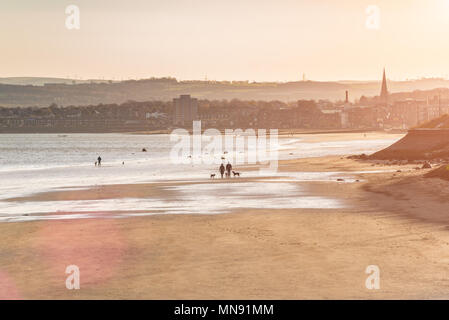 Paar Leute mit drei Hunde am Strand in Craigentinny in der Nähe von Edimburgh Stockfoto