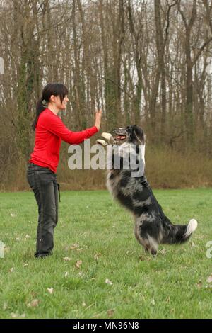 Frau und Tiger bei dogdance Stockfoto