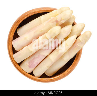 Raw weißen Spargelspitzen in Houten. Blanchierte sparrow Gras schießt. Kultiviert Asparagus officinalis. Gemüse mit dicken Stielen und geschlossenen Knospen. Stockfoto
