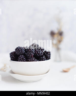 Brombeeren, weißer Hintergrund Stockfoto