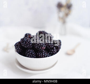 Brombeeren, weißer Hintergrund Stockfoto