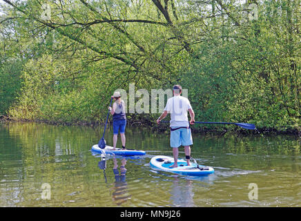 Zwei junge Erwachsene Standup Paddle Boarding auf dem Fluss Bure auf der Norfolk Broads in der Nähe von Wroxham, Norfolk, England, Vereinigtes Königreich, Europa. Stockfoto