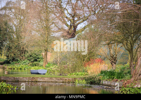 Garten- und Landschaftsbau: Der Teich und hölzernen Ruderboot in der Beth Chatto Gardens in Colchester, Essex im Frühjahr, Südost England Stockfoto