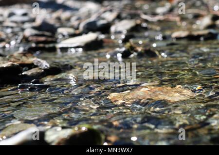 Schöne Nahaufnahme der frisches klares Wasser plätschern über peddles mit unscharfen Hintergrund Stockfoto