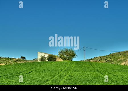 Altes Landhaus auf einem Hügel von Weizen, Modica, Sizilien, Italien, Europa Stockfoto