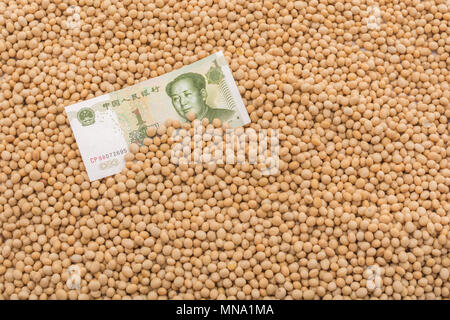 Uns China Sojabohne Tarife Konzept - Chinesische Renminbi Banknote mit Massen von Raw/chemische Sojabohnen. Uns China Handelskrieg Konzept, China soybean Tarife. Stockfoto