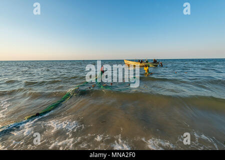 Die handwerklichen Fischer haul out Netze in Inhassoro Mosambik. Stockfoto