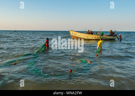 Die handwerklichen Fischer haul out Netze in Inhassoro Mosambik. Stockfoto