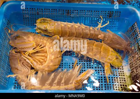 Aquarien in einem chinesischen Restaurant, Hongkong, China. Stockfoto