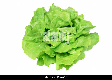 Blick von oben auf ein frisches und ideale grüner Salat mit Wassertropfen auf einem weißen Hintergrund (hoch). Stockfoto