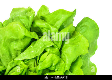 Blick von oben auf einen frischen, grünen Salat mit Wassertropfen auf einem weißen Hintergrund in close-up (hoch). Stockfoto