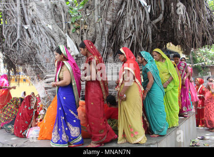 Bhopal. 15 Mai, 2018. Indisch-hinduistischen verheiratete Frauen Rituale um ein Banyan Tree durchführen, bei der die Mehrwertsteuer Savitri Festival von Bhopal in Indien zentralen Staat Madhya Pradesh am 15. Mai 2018. Frauen beten für die Langlebigkeit ihrer Ehemänner auf die Gelegenheit. Credit: Stringer/Xinhua/Alamy leben Nachrichten Stockfoto