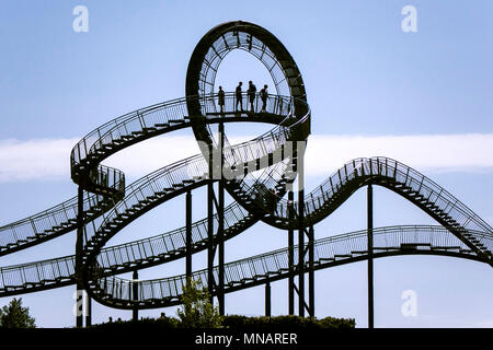 Tiger und Schildkröte - Magic Mountain Stockfoto