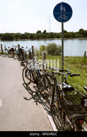 Fahrräder auf dem Deich am Rhein Stockfoto