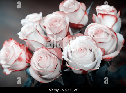 Blumenstrauß aus wunderschönen Rosen auf einem dunklen Hintergrund. Stockfoto
