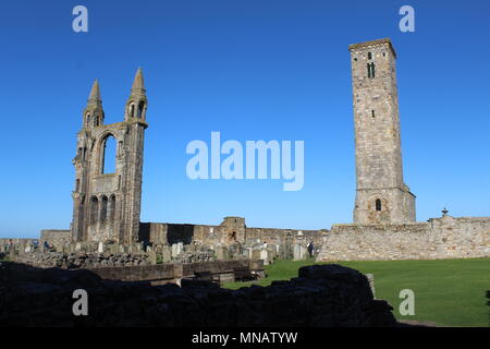 Die Kathedrale von St. Andrews, Schottland Stockfoto