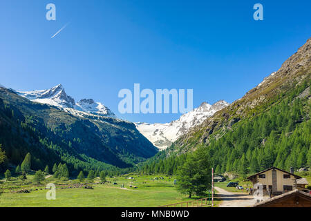 Landschaft, Blick auf die Berge vor Valsavaranche, Aosta, Italien Stockfoto