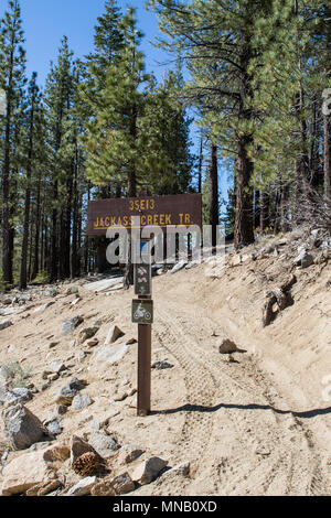 Jackass Creek Trail in den Sequoia National Forest, Sierra Nevada, Kalifornien, USA Stockfoto