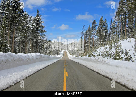 Eingang Süd Straße durch den Yellowstone National Park, Spring Season Opening nach schneewetter, USA Stockfoto