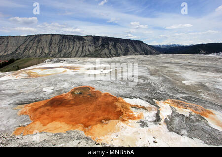 Schön orange Feder in der Nähe von Orange Feder Damm, Mammoth Hot Springs, Yellowstone National Park, USA Stockfoto